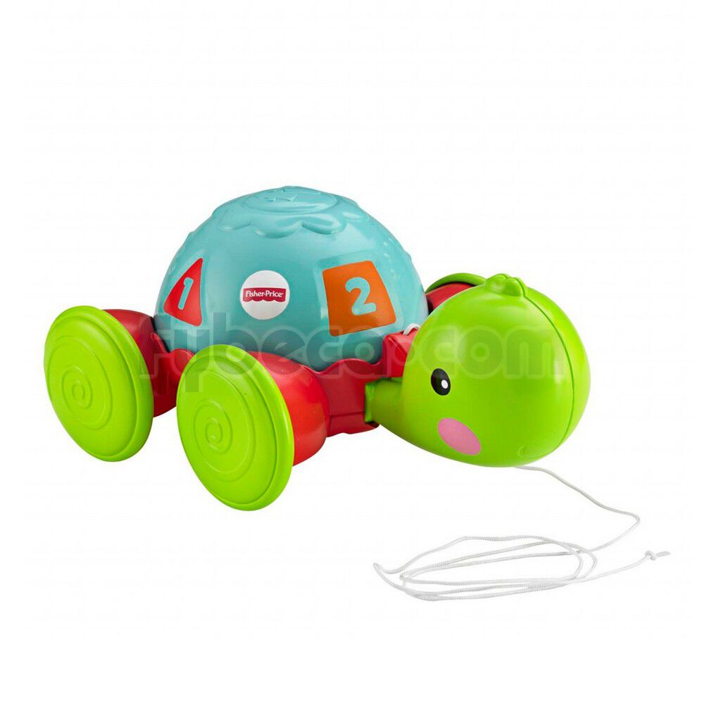Tortuga-Aprendiz-Fisher-Price-Unidad--imagen