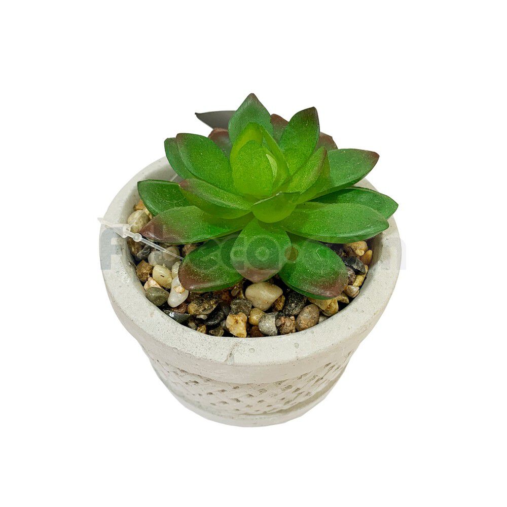Planta-Artificial-Suculenta-con-Maceta-de-Cemento-Decorativa-10.5x10x16-Cm-Unidad-imagen
