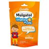Mulgatol-Gomitas-Vit-C-+-Zinc-Sobres-C/5-Suelta-imagen-2