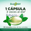 Buscamint-181.6-Mg-Caps-Bl12-X12-Suelta-imagen-4