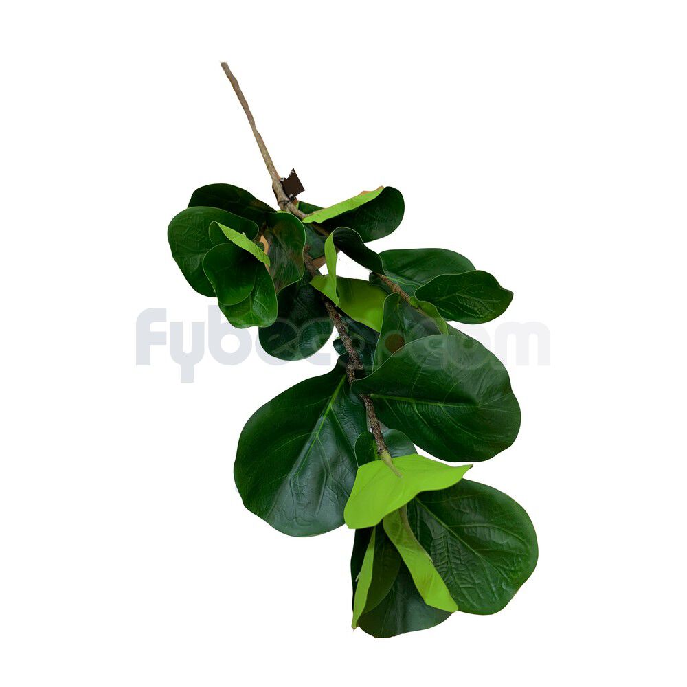 Hoja-Ficus-Toque-Real-76-Cm-Unidad-imagen