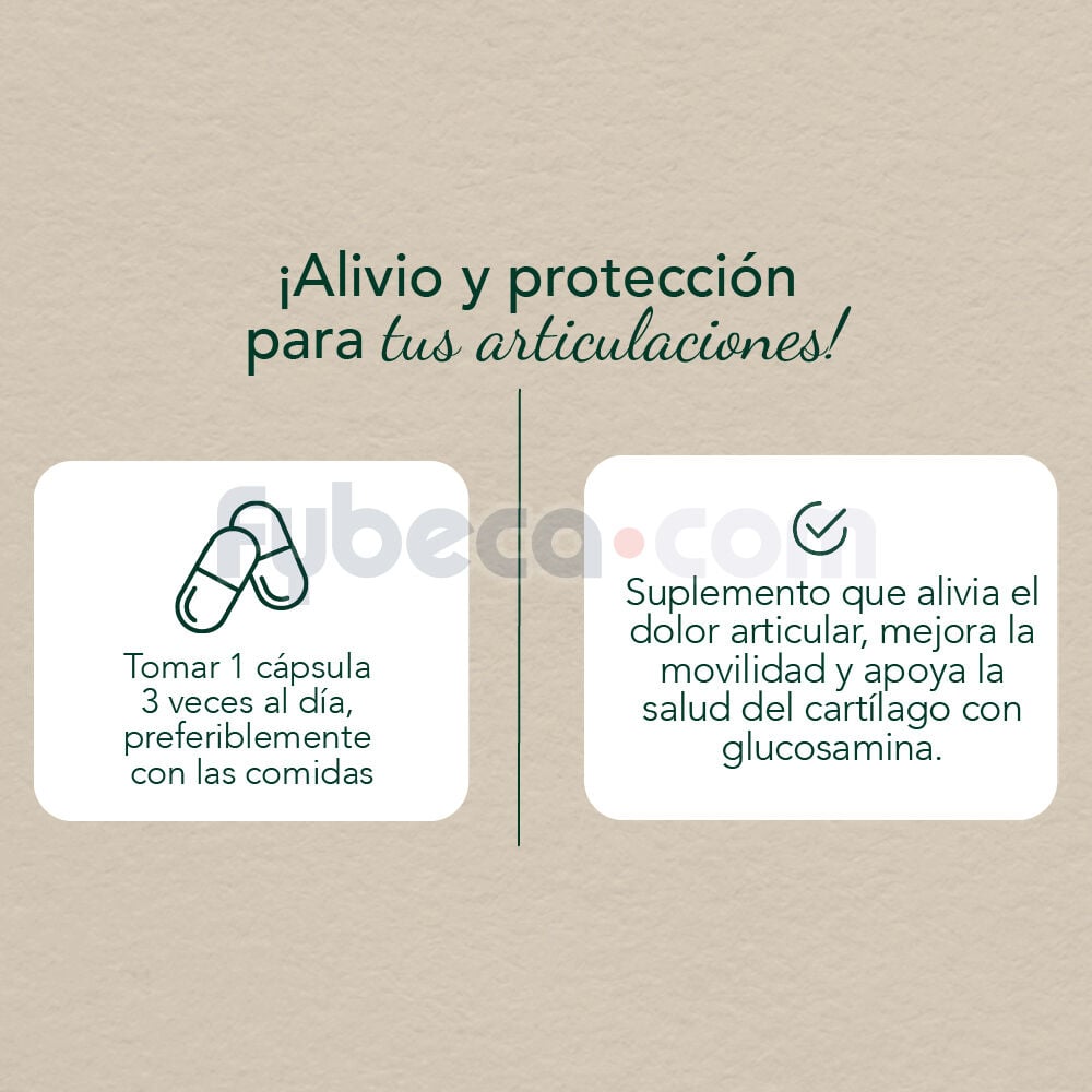 Osteolive-Forte-Caps-C/60-Suelta-imagen-2