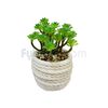 Planta-Artificial-con-Maceta-de-Cemento-Blanca-Decorativa-10.5x10x12-Cm-Unidad-imagen