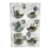 Jg-Bolas-6Pz-16X8X24Cm-16X8X24Cm-130-2500597-imagen