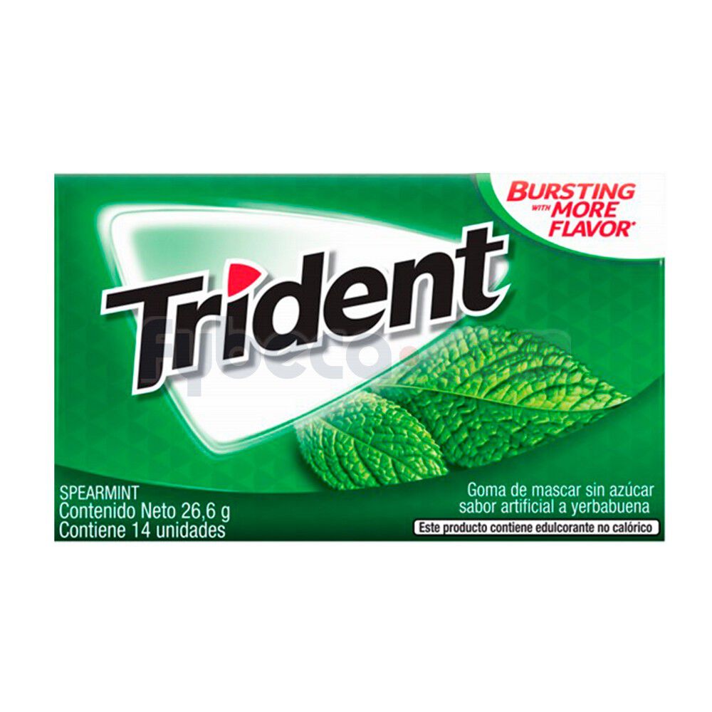 Chicle-Trident-Yerbabuena-26.6-G-Paquete--imagen