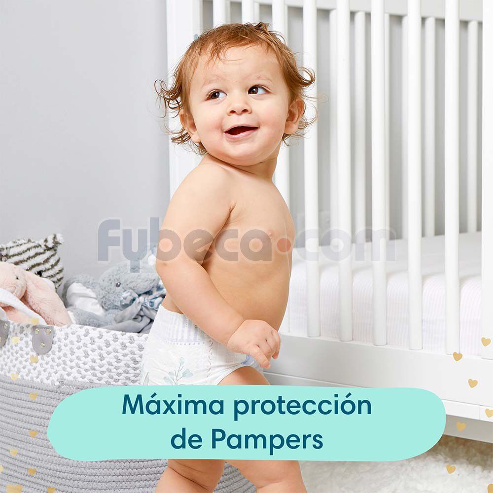 Pampers-Premium-Care-Xxg56-imagen-4