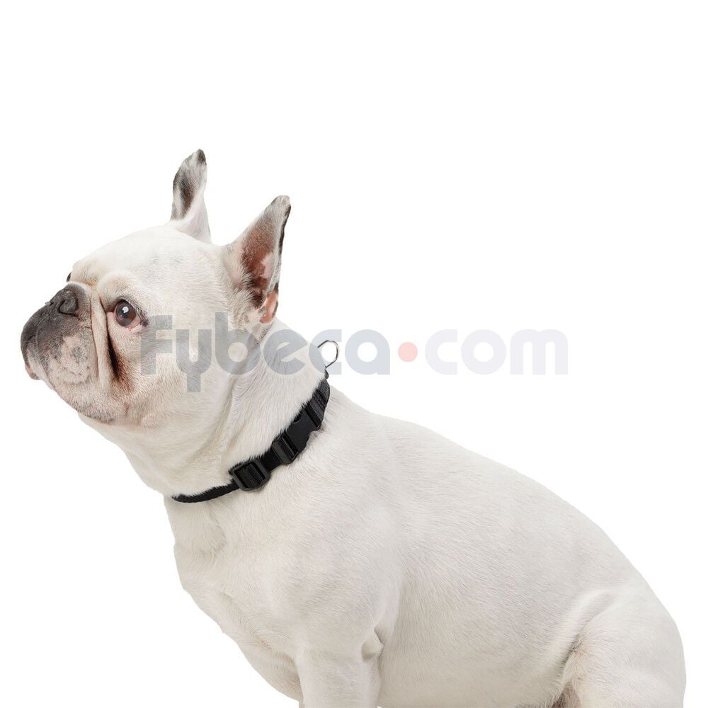 Collar-Ajustable-Mylu-S--imagen-2