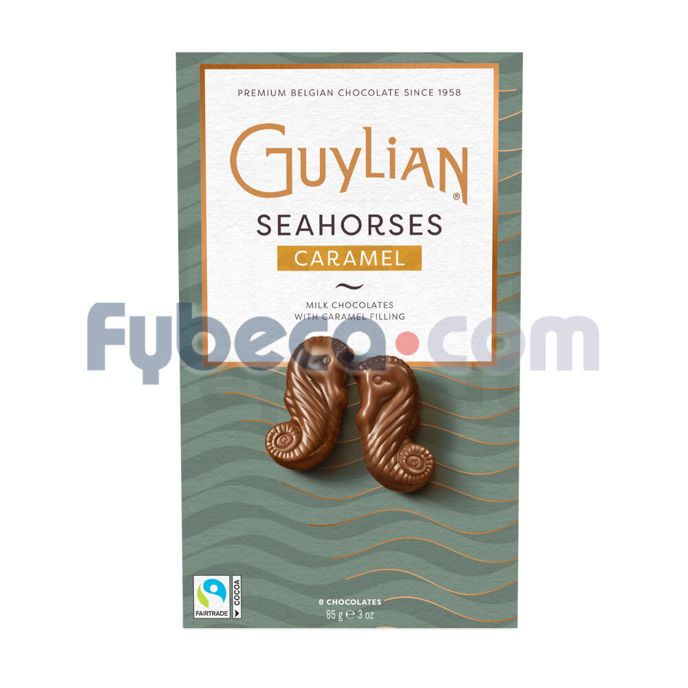 Chocolate-Premium-Belga-Seashells-85-G-Unidad-imagen