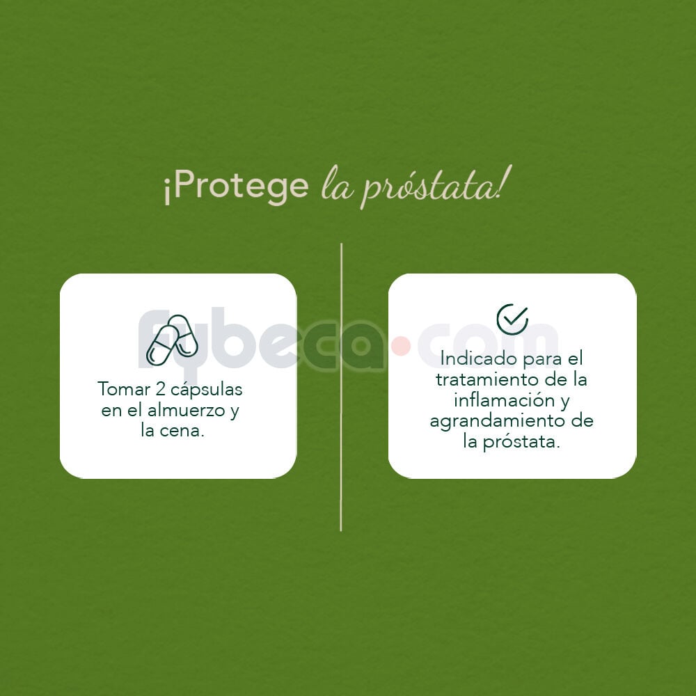 Prostalex-Capsulas-X-40--imagen-2