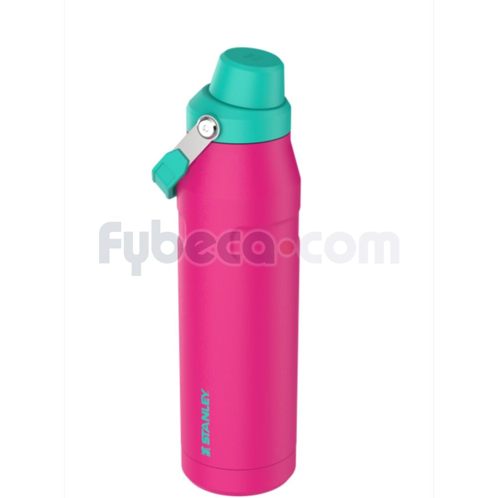 Termo--Fast-Flow-Lid-24Oz-Passion-Pink--imagen