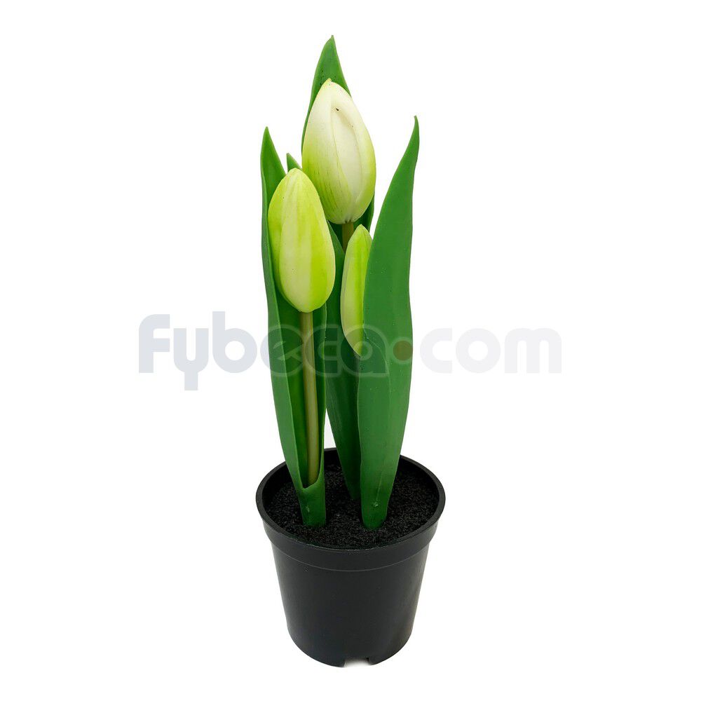 Tulipan-Con-Maceta-Vrake-21-Cm-Unidad--imagen
