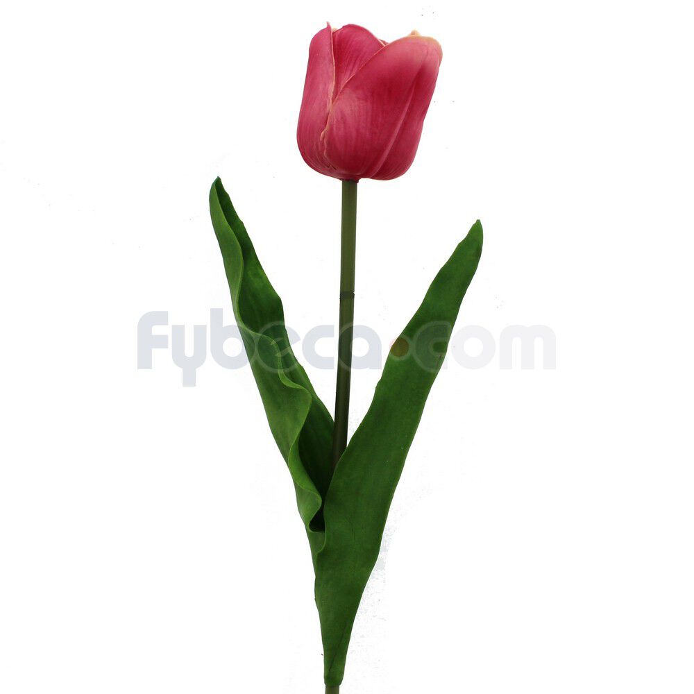 Tulipan-Vrake-Fucsia-Unidad-imagen
