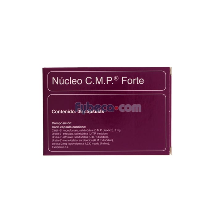 cmp nucleo forte plm cmp nucleo forte plm