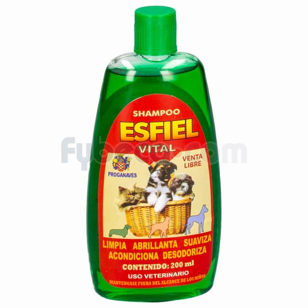 ARGILETZ Après-Shampooing Conditioner – Mit Kokosnussöl & Orangefarbenem Ton, 200 Ml, Für Glanz & Geschmeidigkeit