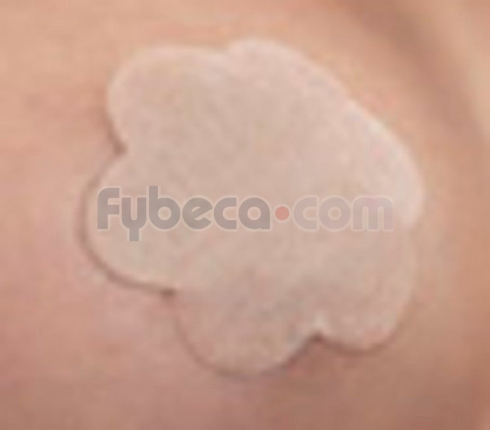 Petals Protector De Pezon (3 Pares) Fybeca